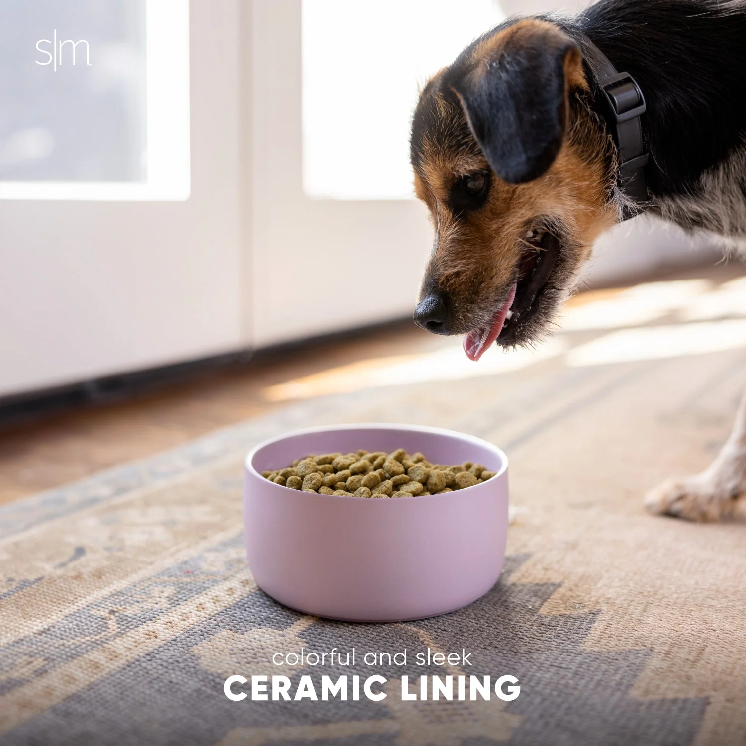 Bentley Pet Bowl - Image 4