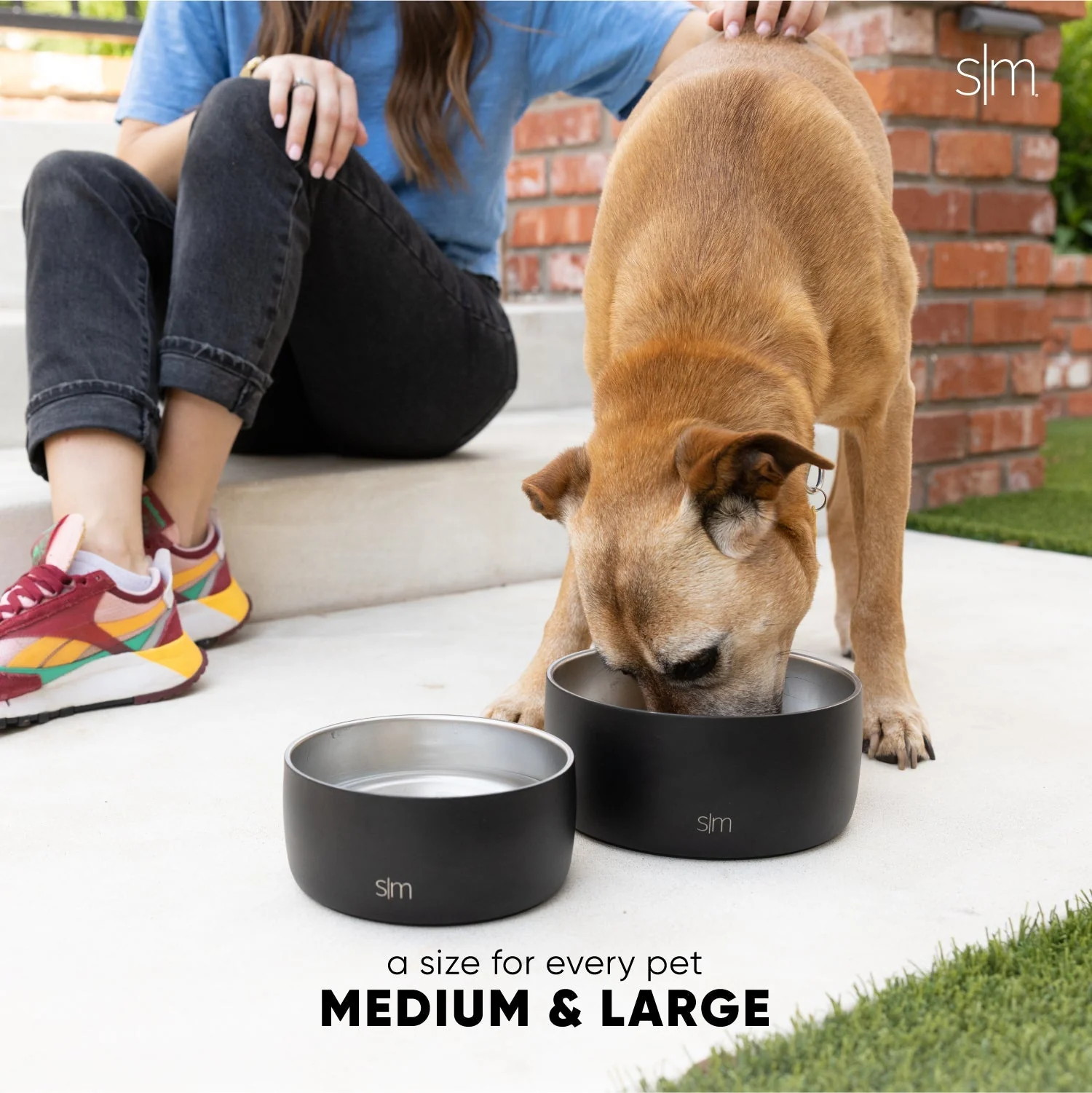 Bentley Pet Bowl - Image 5