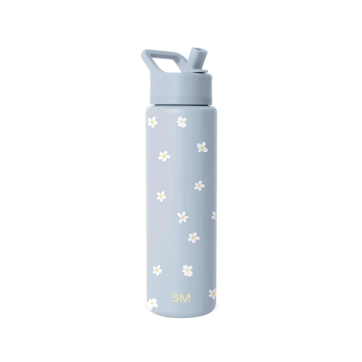 Summit Water Bottle with Straw Lid